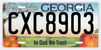 GA license plate CXC8903
