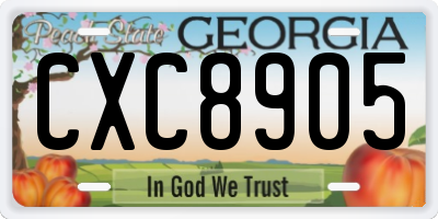 GA license plate CXC8905