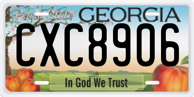 GA license plate CXC8906