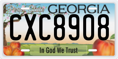 GA license plate CXC8908