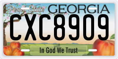 GA license plate CXC8909