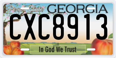 GA license plate CXC8913