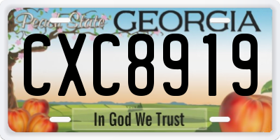 GA license plate CXC8919