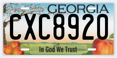 GA license plate CXC8920