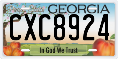GA license plate CXC8924