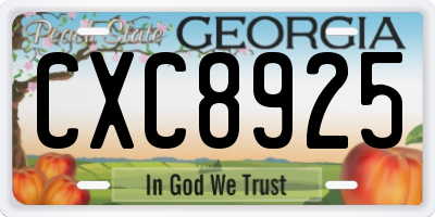 GA license plate CXC8925