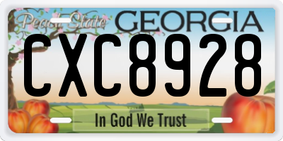 GA license plate CXC8928