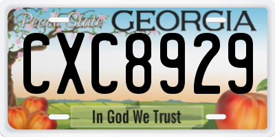 GA license plate CXC8929