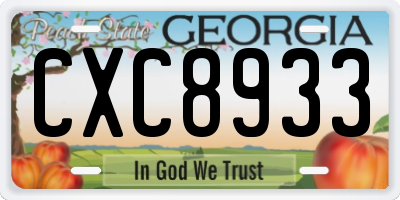 GA license plate CXC8933