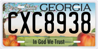 GA license plate CXC8938