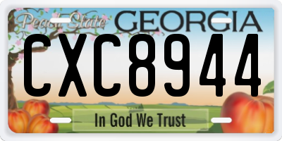 GA license plate CXC8944