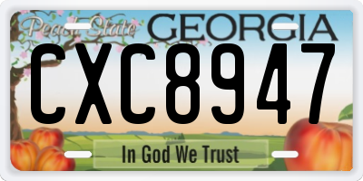 GA license plate CXC8947
