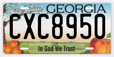 GA license plate CXC8950