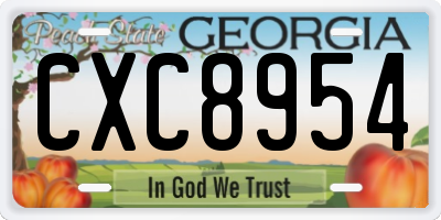 GA license plate CXC8954