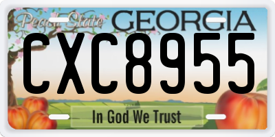 GA license plate CXC8955