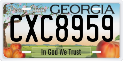 GA license plate CXC8959