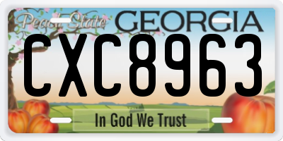 GA license plate CXC8963