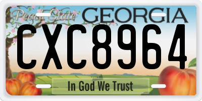 GA license plate CXC8964