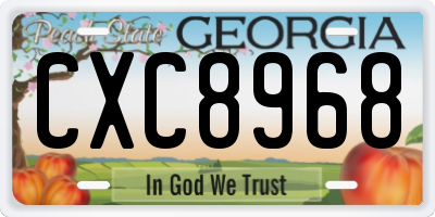 GA license plate CXC8968