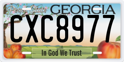 GA license plate CXC8977