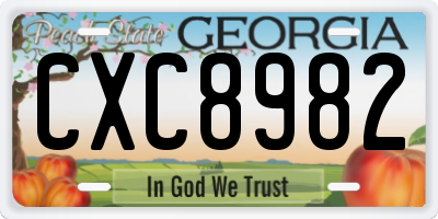 GA license plate CXC8982