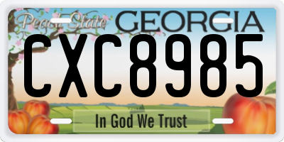 GA license plate CXC8985