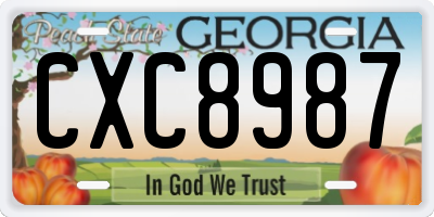 GA license plate CXC8987