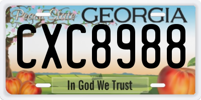 GA license plate CXC8988