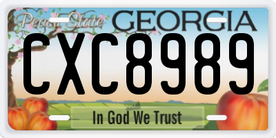 GA license plate CXC8989