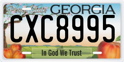 GA license plate CXC8995