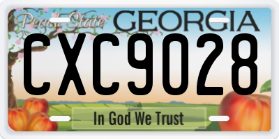 GA license plate CXC9028