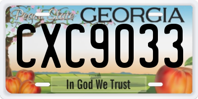 GA license plate CXC9033