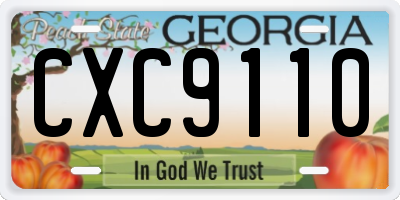 GA license plate CXC9110