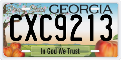 GA license plate CXC9213