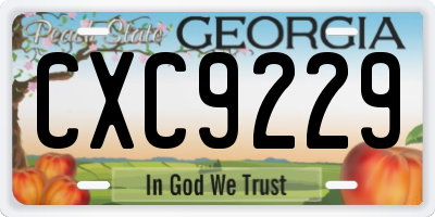GA license plate CXC9229