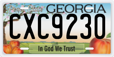 GA license plate CXC9230