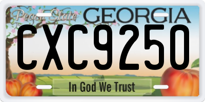 GA license plate CXC9250
