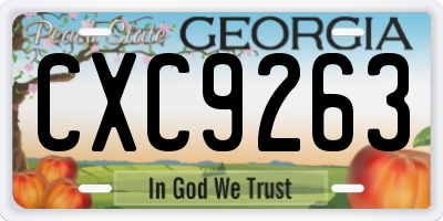GA license plate CXC9263