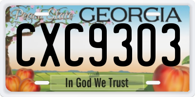 GA license plate CXC9303