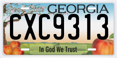 GA license plate CXC9313