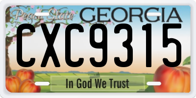 GA license plate CXC9315
