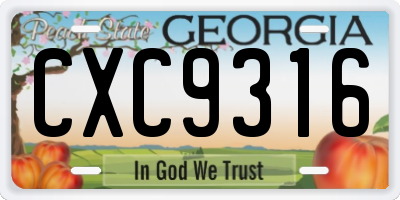 GA license plate CXC9316