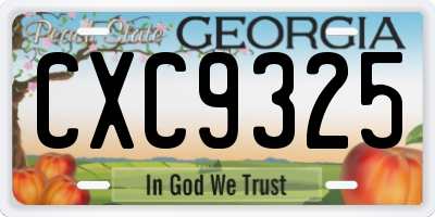 GA license plate CXC9325