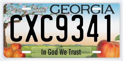 GA license plate CXC9341
