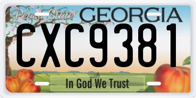GA license plate CXC9381