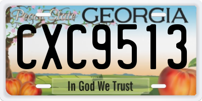 GA license plate CXC9513