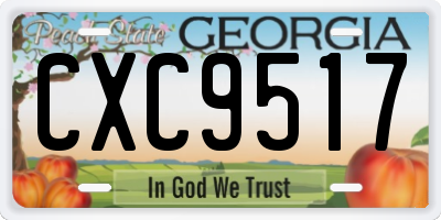 GA license plate CXC9517