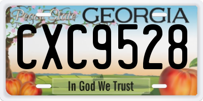 GA license plate CXC9528