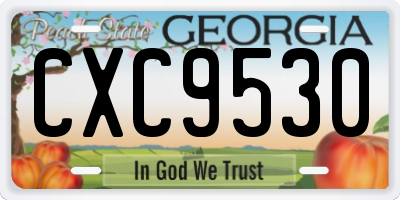 GA license plate CXC9530