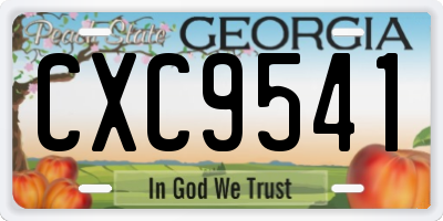 GA license plate CXC9541